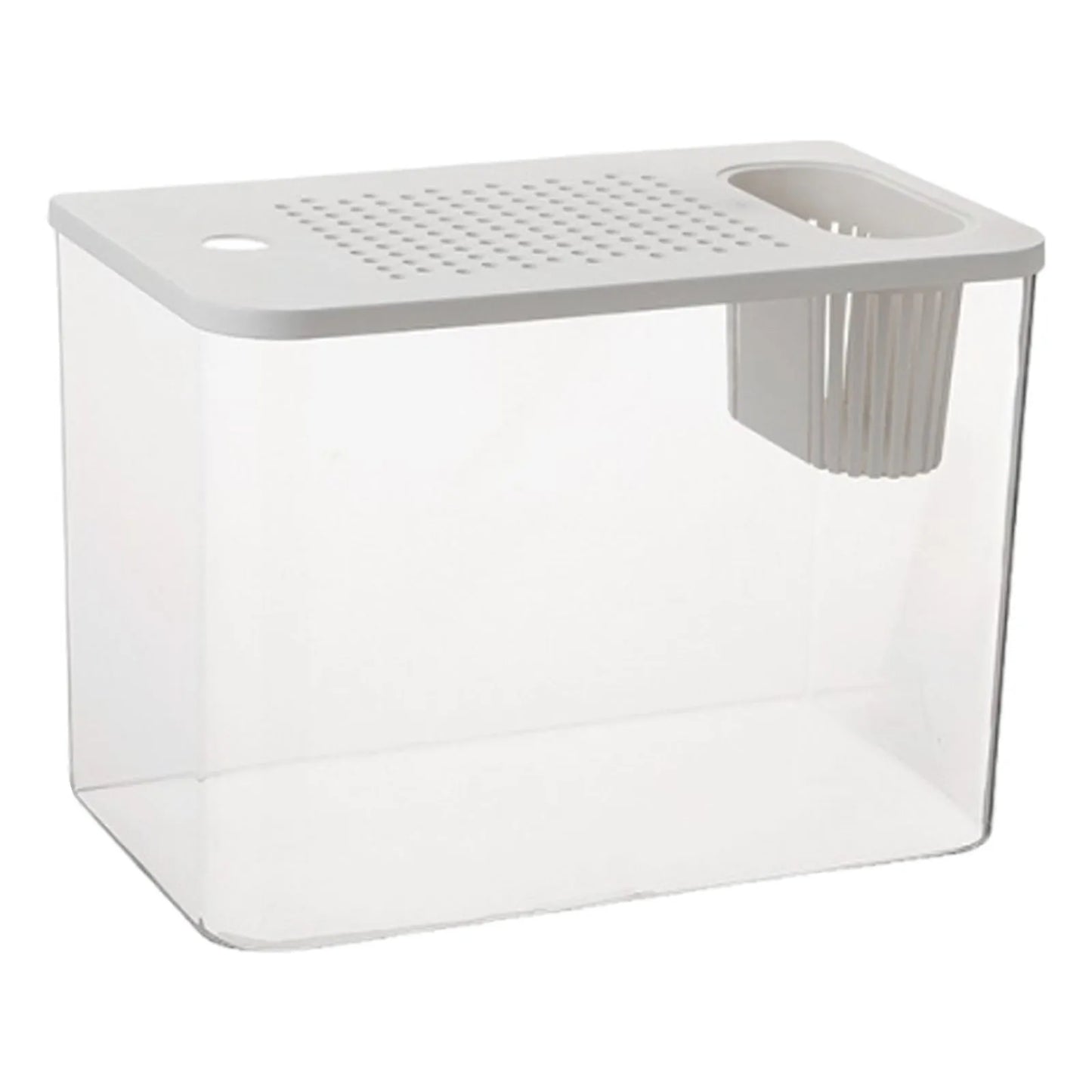 Reptile Terrarium Clear View Breeding Tank