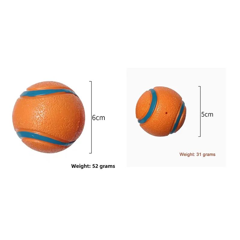 Durable Squeaky Chew Resistant Chasing Toy