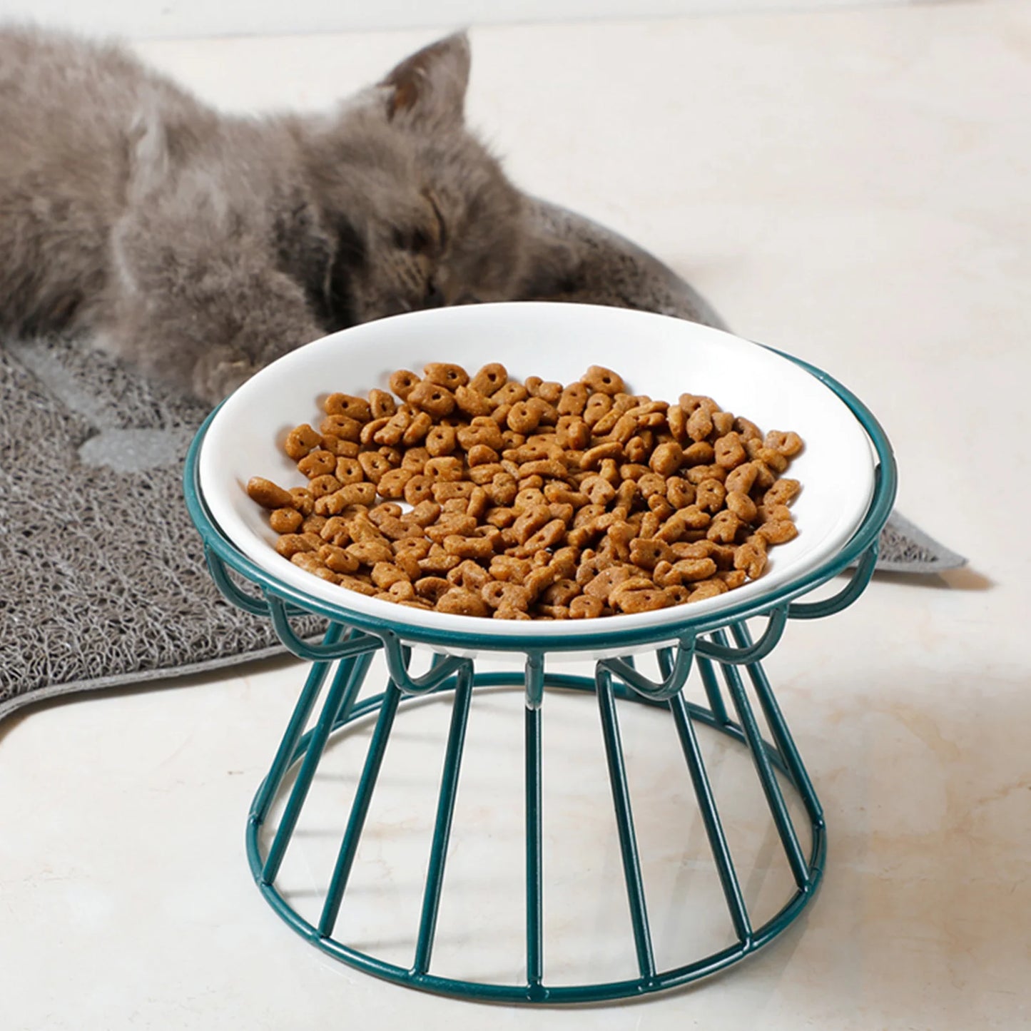 Food Water Bowls with Rack for Cats