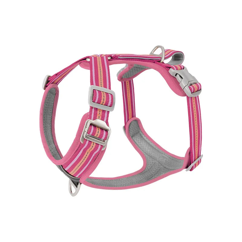 Dog Harness with Dual Handle
