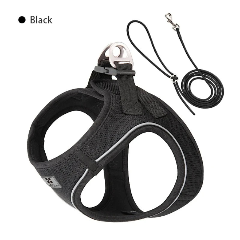 Dog Harness Leash Set