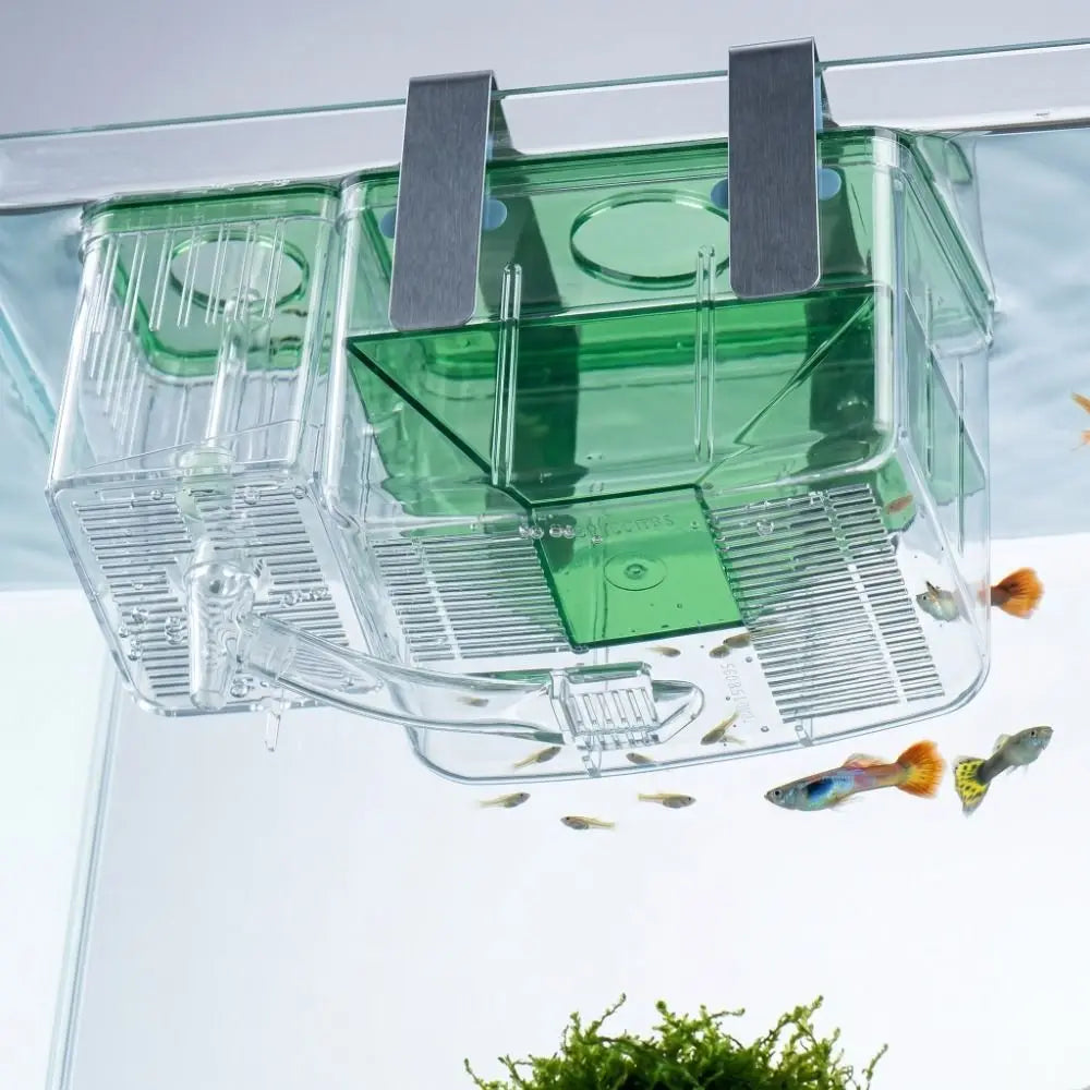 Transparent Aquarium Breeder Box