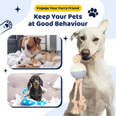 Durable Knot Rope and Ball Dog Toy - Interactive Chew and Tug Play for Pets
