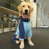 3XL Recommended 20-30 Pounds Blue Autumn-Winter Dog Hoodie for Medium to Large Breeds - Golden Retriever & Labrador