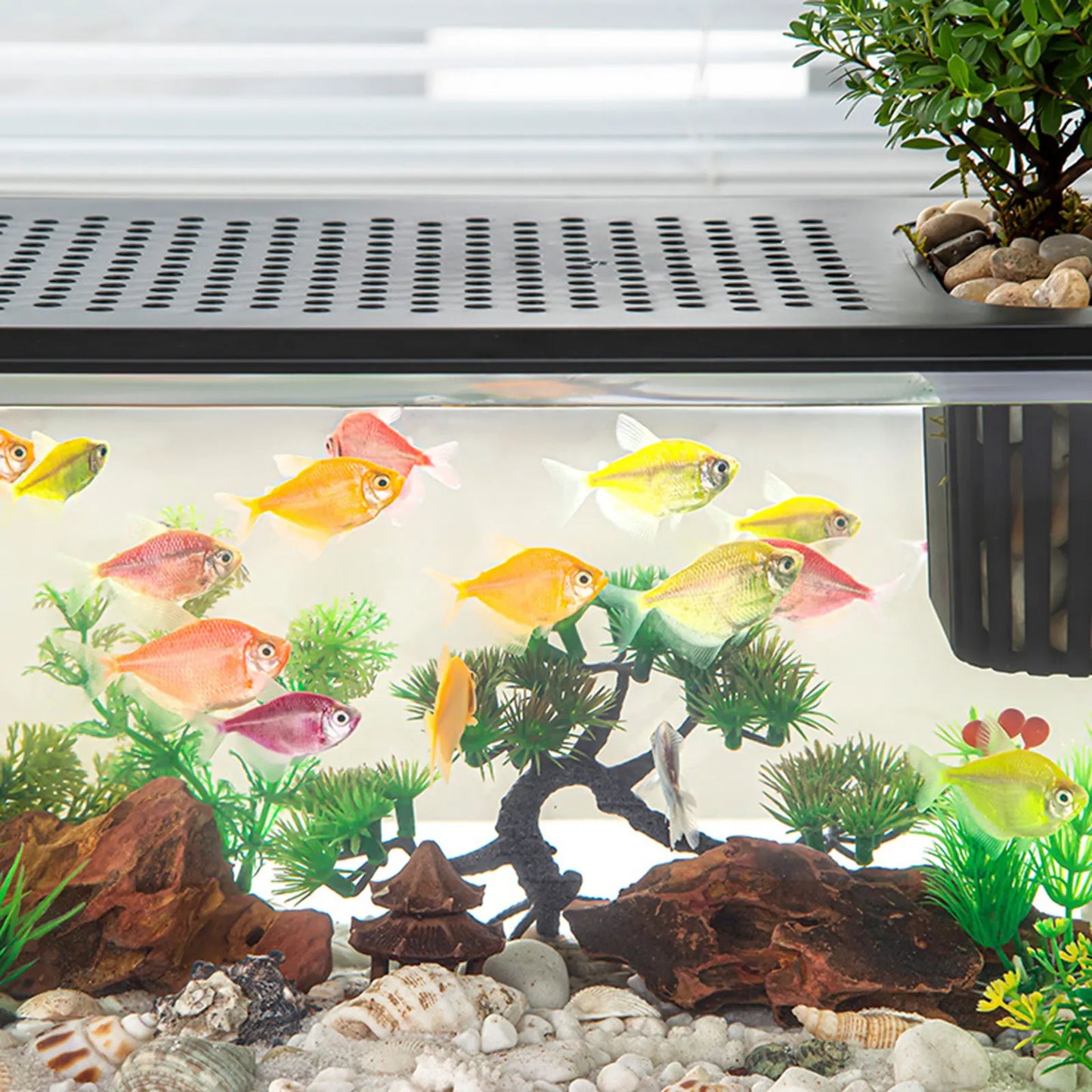 Reptile Terrarium Clear View Breeding Tank
