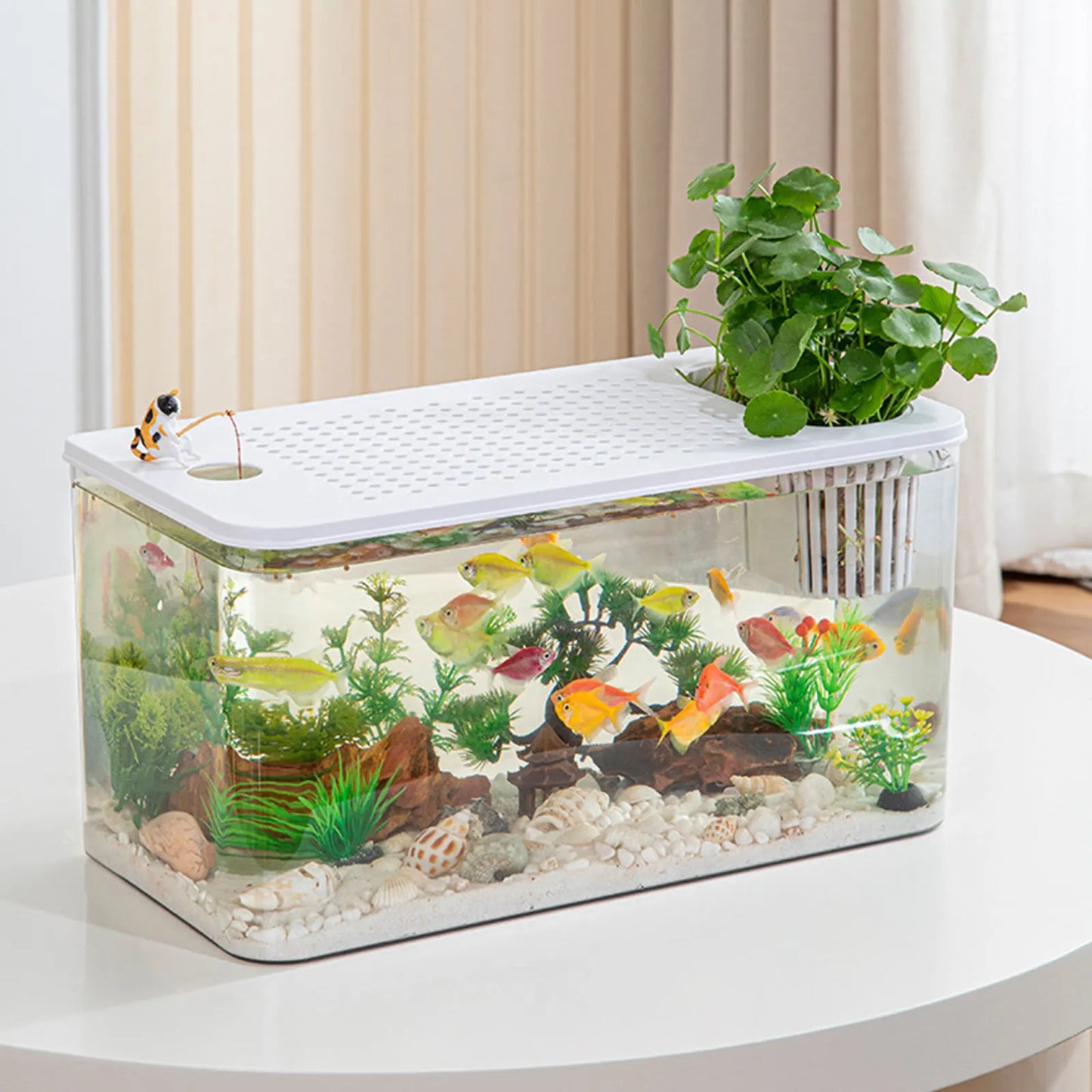 Reptile Terrarium Clear View Breeding Tank