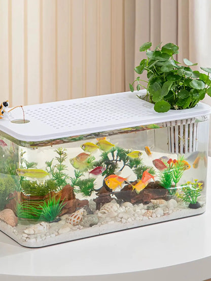 Reptile Terrarium Clear View Breeding Tank