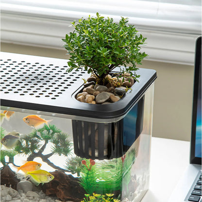 Reptile Terrarium Clear View Breeding Tank