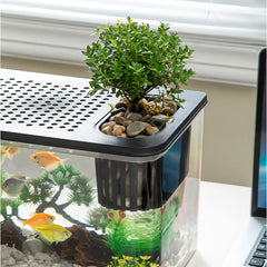 Reptile Terrarium Clear View Breeding Tank Habitat Cage Small Fish Tank Feeding Box for Betta Fish Fish Crayfish Snake Chameleon