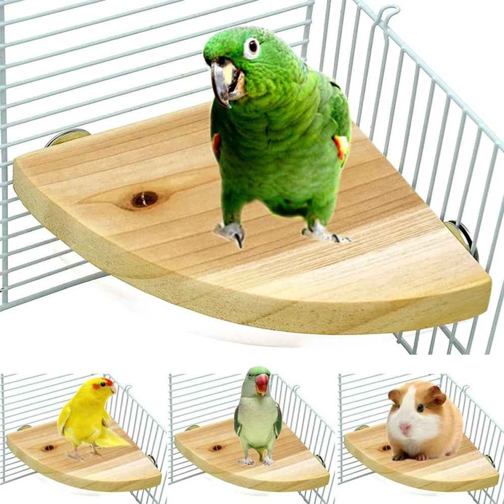 Fan-shaped Parrot Wooden Stand Rack