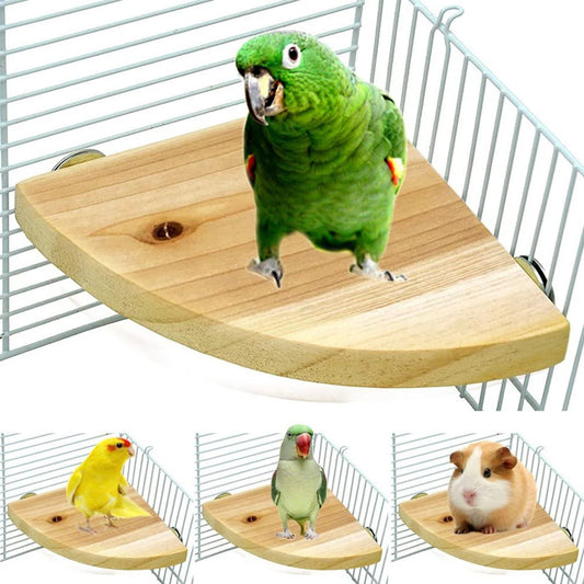Fan-shaped Parrot Wooden Stand Rack