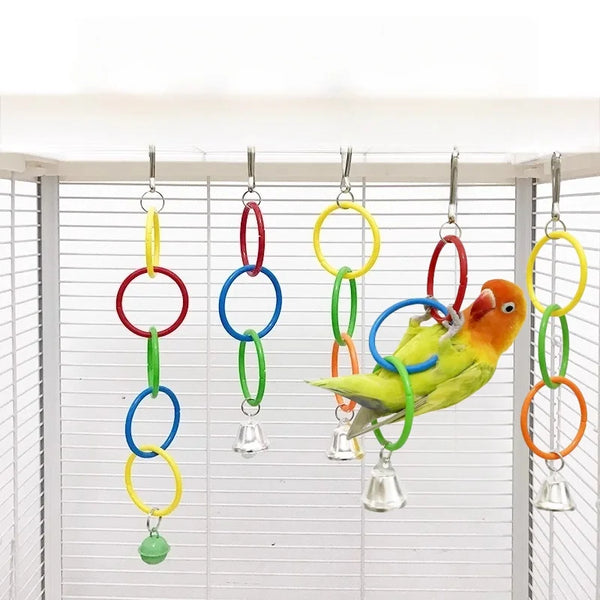 Colorful Ring Birds Use Gnawing Toy
