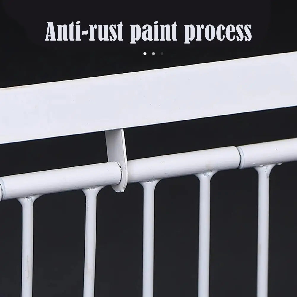 Auto Trap Bird Cage