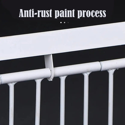 Auto Trap Bird Cage