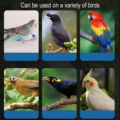 Water Dispensers for Bird Cages