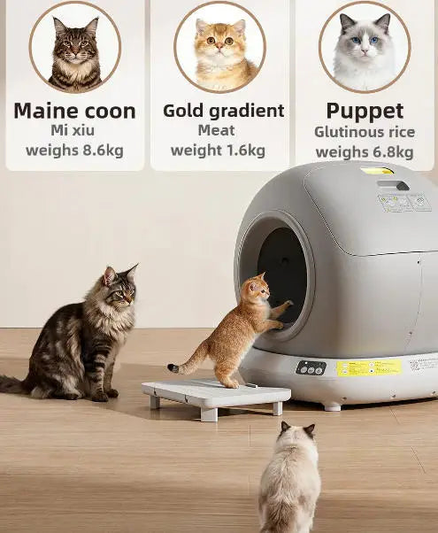 Self Cleaning Cat Litter Box