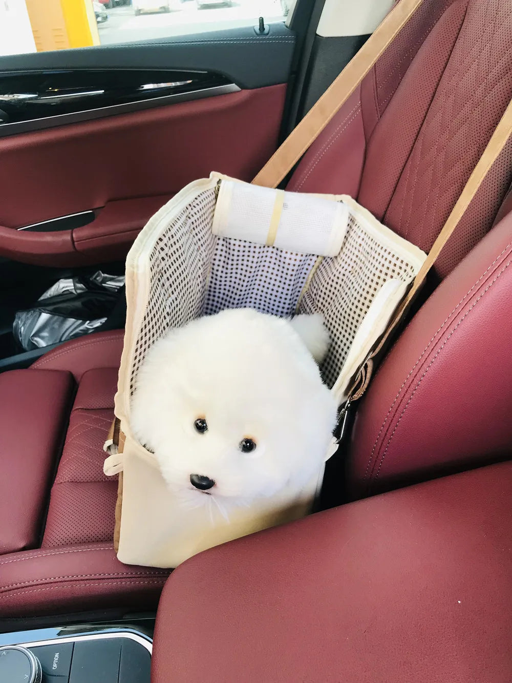 Portable Dog Carrier
