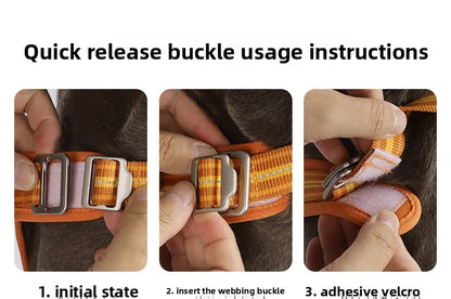 Dog Harness with Dual Handle