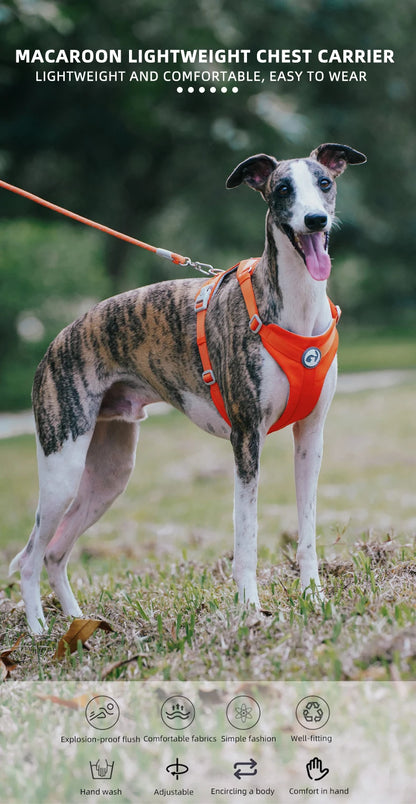 Dog Breathable Harness NO PULL