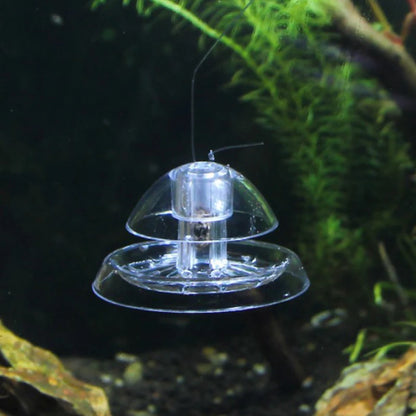 Plant Snail Trap Catcher