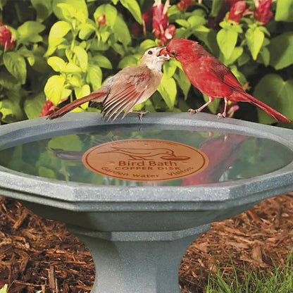 Bird Bath Copper Disk Water Fountain