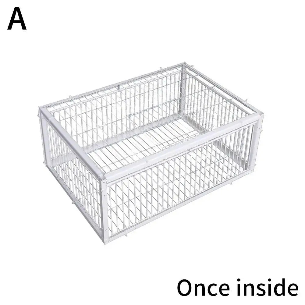 Auto Trap Bird Cage