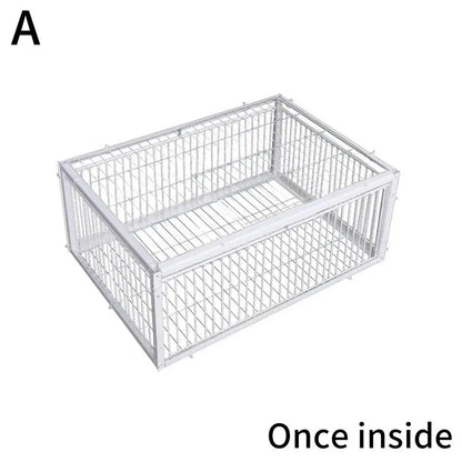 Auto Trap Bird Cage