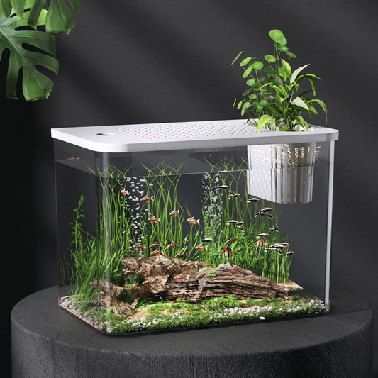 PET+ABS Fish Tank New Transparent with Lid