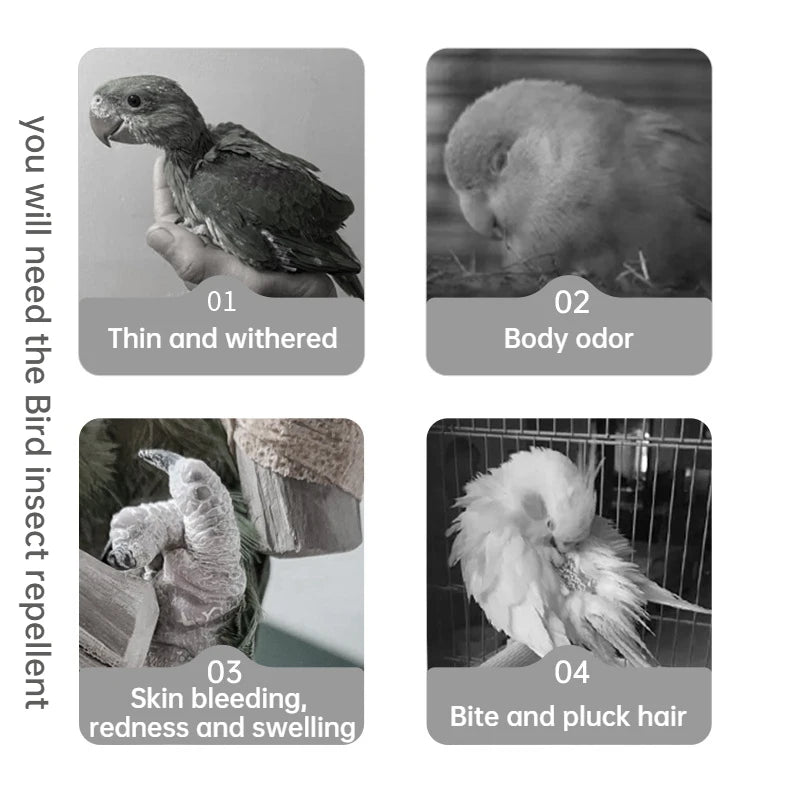 Bird insect repellent  supplies