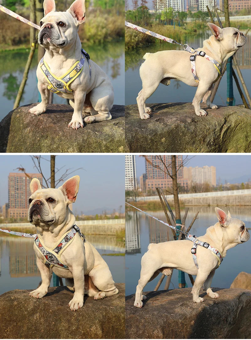 X-Shaped Harness and Leash Set