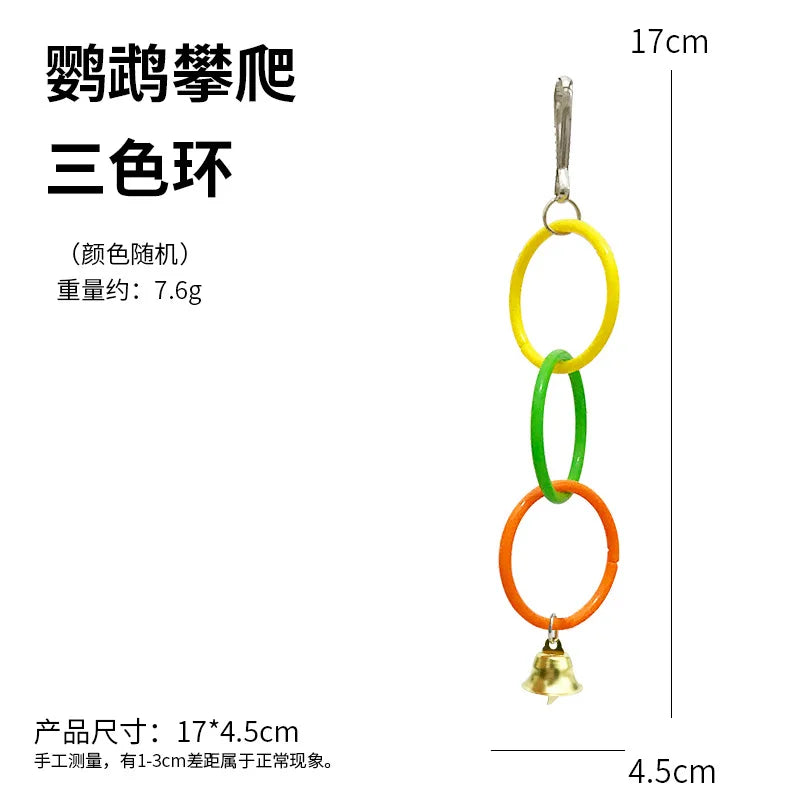 Colorful Ring Birds Use Gnawing Toy