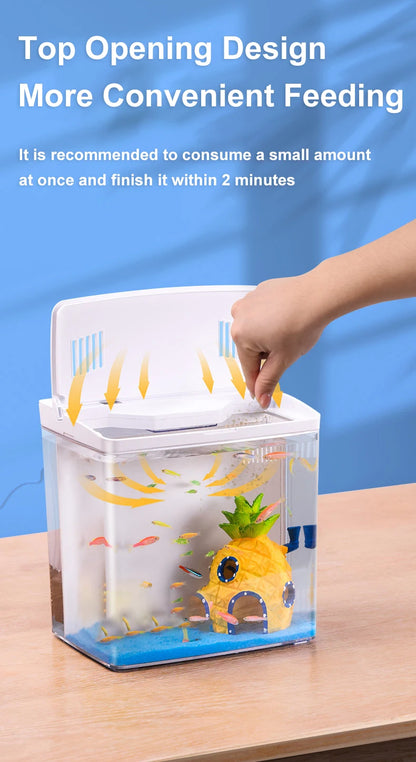 Mini Fish tank