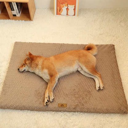 3D Foam Pet Bed With Removable Washable