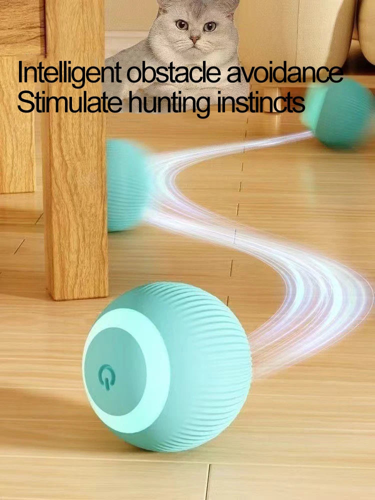 Automatic Indoor Cat Toy