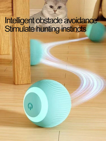 Automatic Indoor Cat Toy