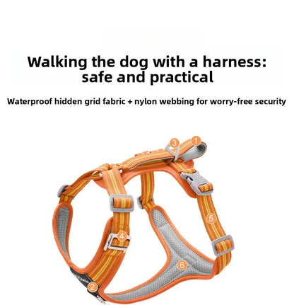 Dog Harness with Dual Handle