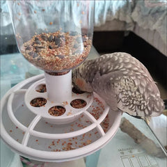 Automatic Bird Feeder Bottle Feeding Tools Bird Food Bowl for Patio Hummingbird Outdoors Garden Balcony Hanging Feeding Tray