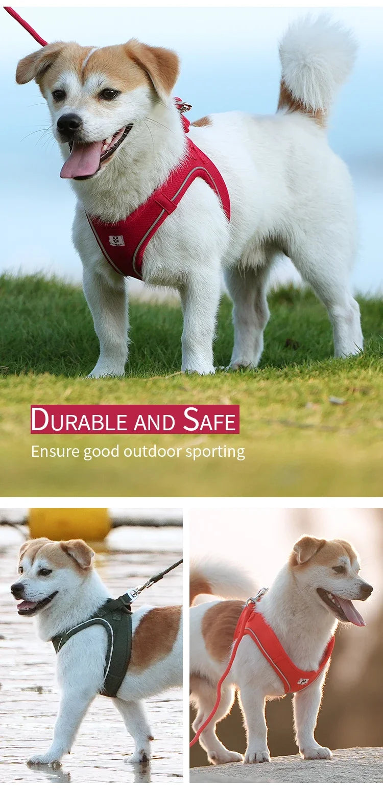 Dog Harness Leash Set