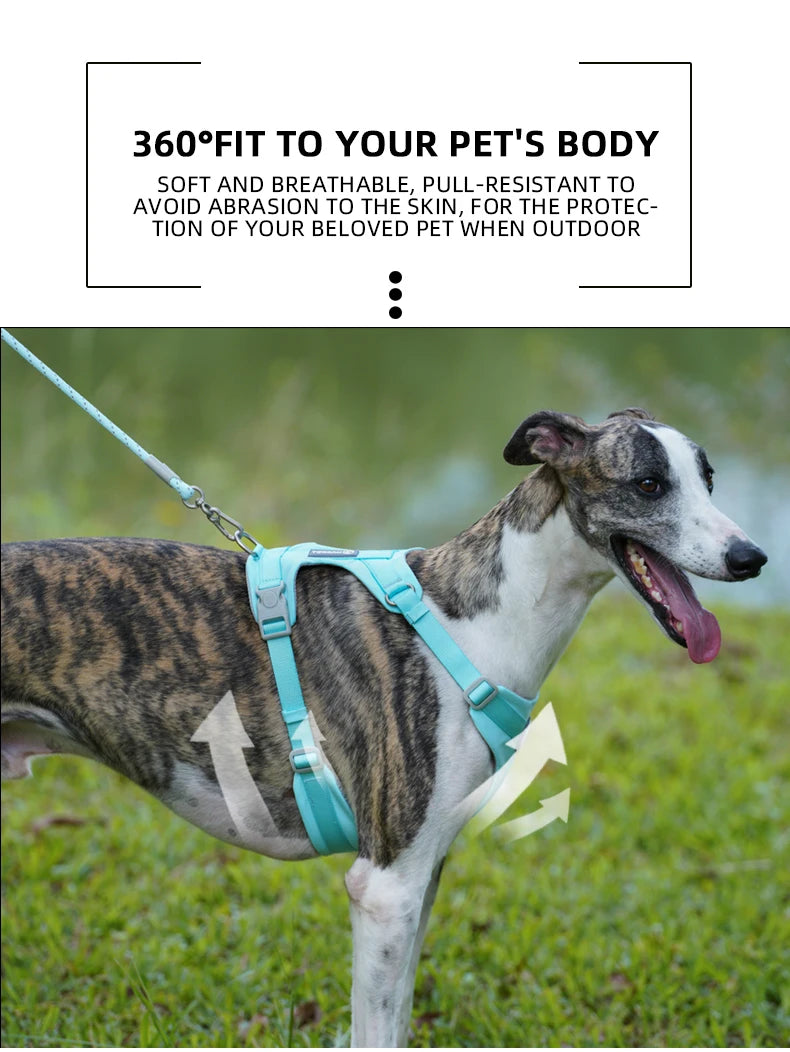 Dog Breathable Harness NO PULL