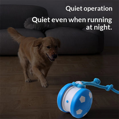 Dual-Wheel Spinning Electric ball