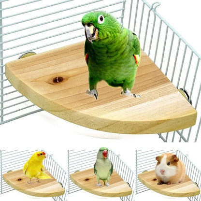 Parrot Bird Wood Perch Stand
