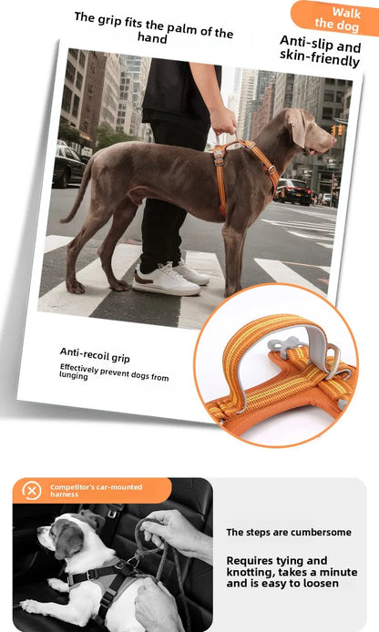 Dog Harness with Dual Handle