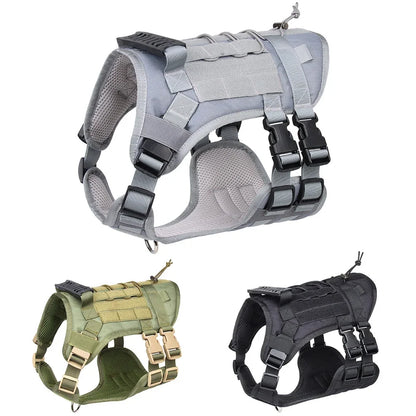 Harness And Collar For Medium Large Dogs