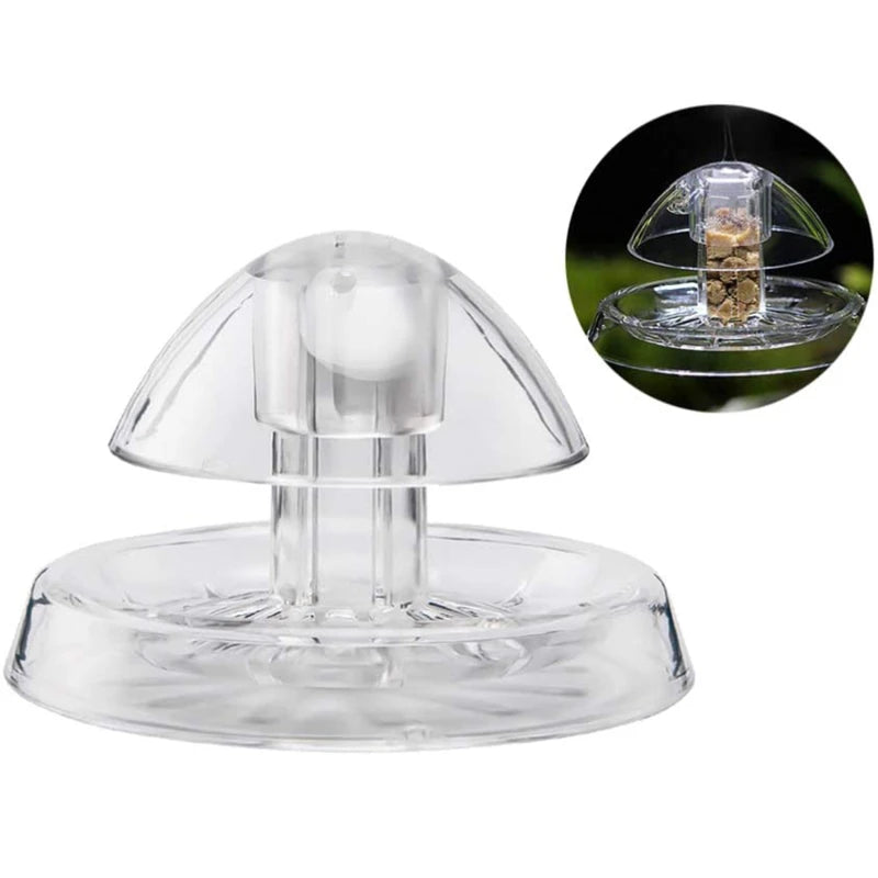 Plant Snail Trap Catcher