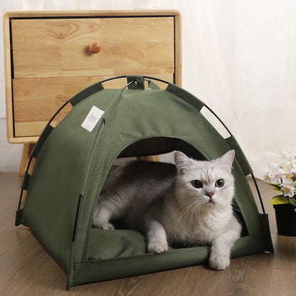 Tent Bed Cats