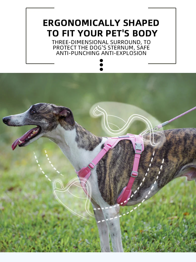 Dog Breathable Harness NO PULL
