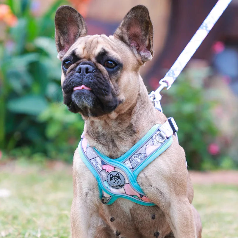 X-Shaped Harness and Leash Set