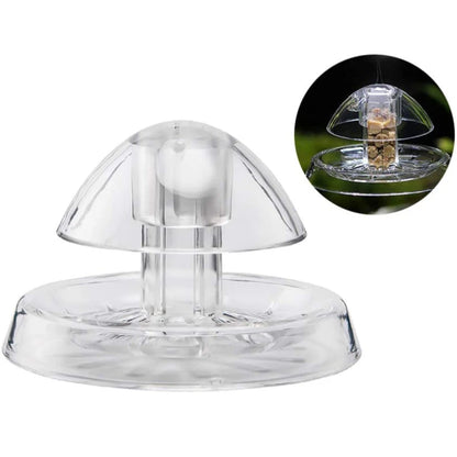 Plant Snail Trap Catcher