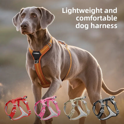 Dog Harness with Dual Handle