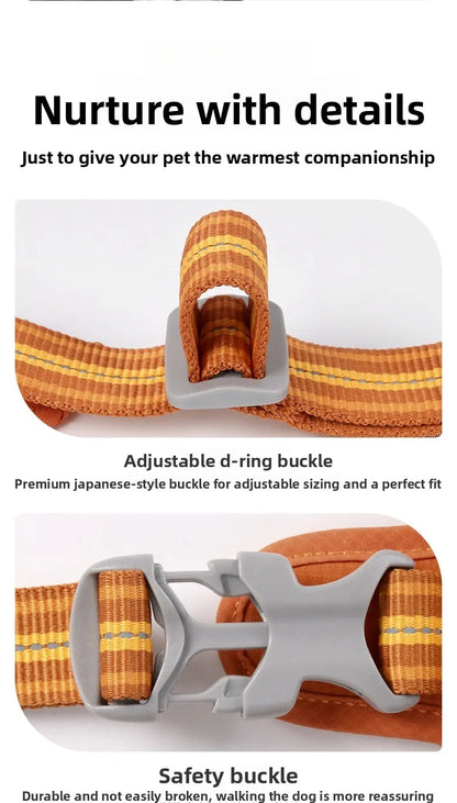 Dog Harness with Dual Handle